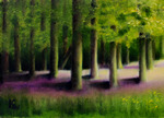 Forest Scene - Oil on Board - size: 5”x7”